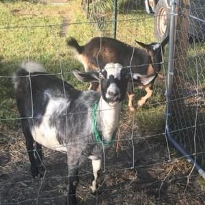 Meet your Posher, Jean